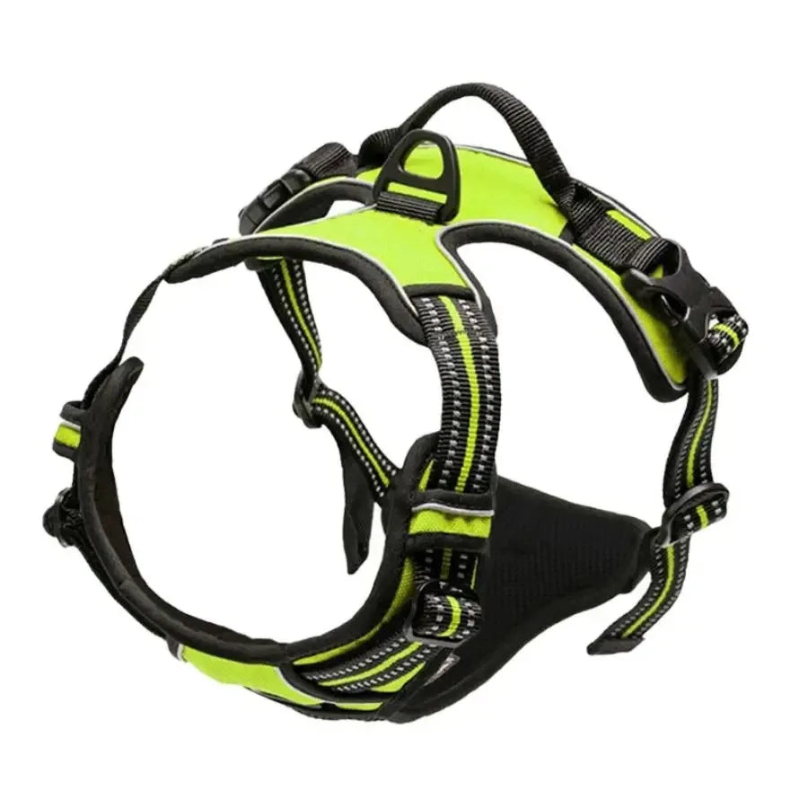 Leather Dog Harness & Leash Set – Small to Medium