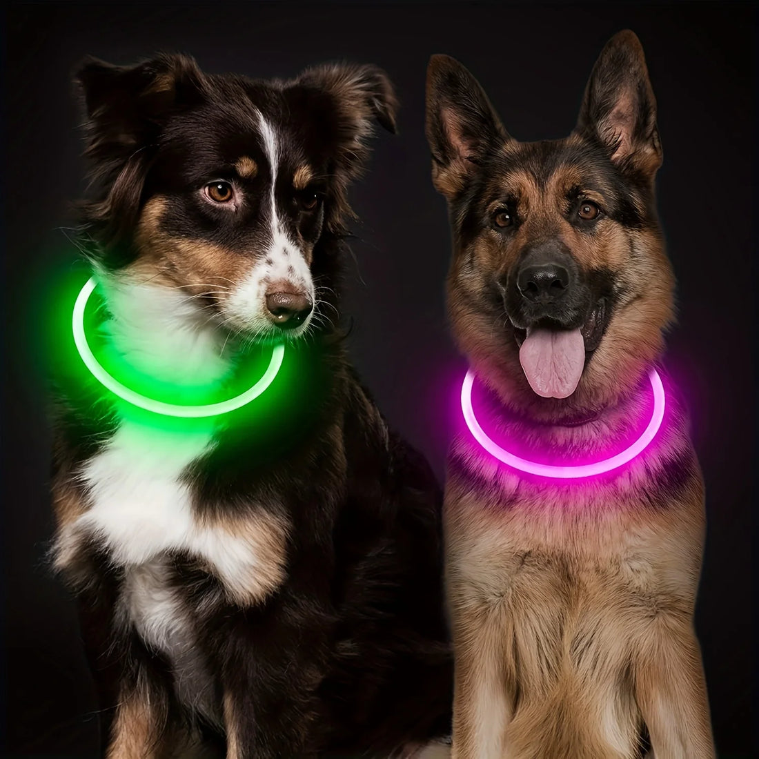 Rechargeable LED Dog Collar for Night Safety